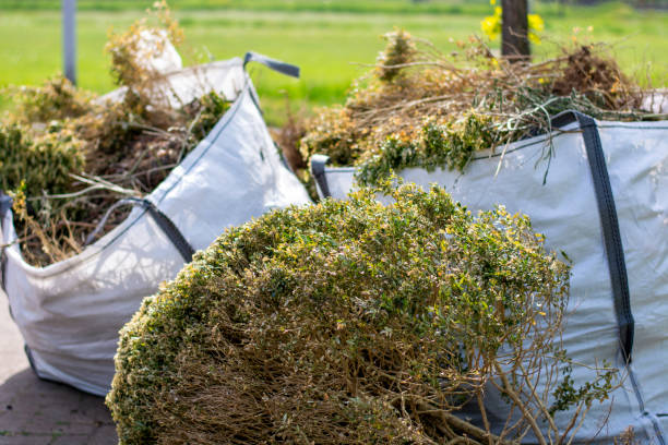 Best Junk Hauling Services  in Shawneeland, VA